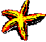 Starfish